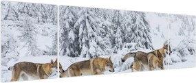 Obraz - Wilki w górach (170x50 cm)