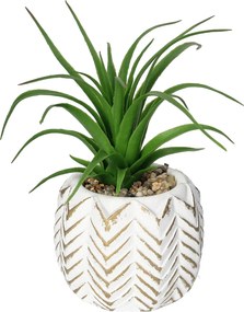Dekoracja Aloes II 14cm