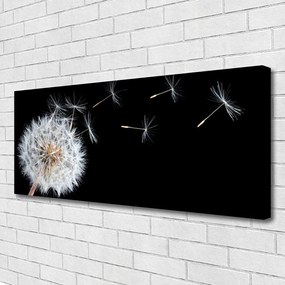 Obraz canvas Ulotność Polnego Dmuchawca