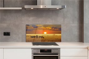 Panel szklany do Kuchni Zebry o Zachodzie Słońca