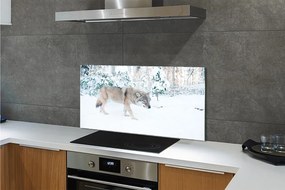 Panel Szklany Wilk zima las