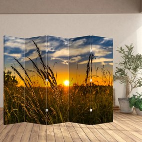 Parawan - Pole o zachodzie Słońca (210x170 cm)