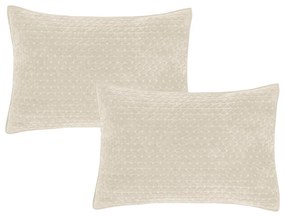 Poszewki na poduszki zestaw 2 szt. 50x75 cm Attica Velvet Embroidered – Bianca