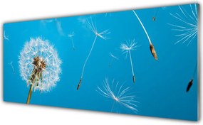 Szkło do Kuchni na Ścianę Ulotność Polnych Dmuchawców