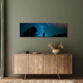 Obraz - Spotkanie pod gwiazdami (170x50 cm)