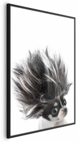 Plakat Chihuahua 40x60 cm z ramą czarną bez marginesu ARTGEIST B