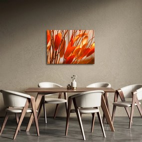 Obraz płatków kwiatów (70x50 cm)
