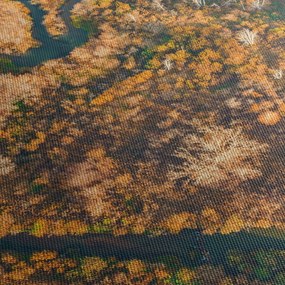 Obraz - Rzeka w kształcie serca (170x50 cm)