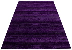 Ciemnofioletowy dywan 160x230 cm Plus – Ayyildiz Carpets