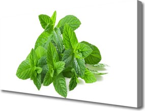 Obraz canvas Świeżość Liści Mięty