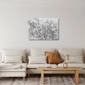Obraz na szkle - Mroźna zima (70x50 cm)