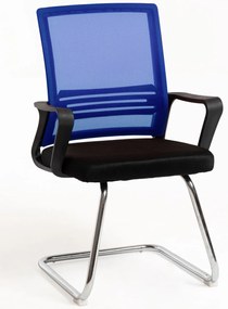 Pewny siebie Krzeso Kole