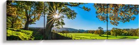 Obraz - widok pola (170x50 cm)