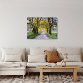 Zdjęcie - Smoky Mountains, Gatlinburg, USA (70x50 cm)