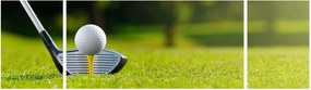Obraz - Golf (170x50 cm)