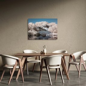 Obraz na szkle - Kwitnące drzewa w Azji (70x50 cm)