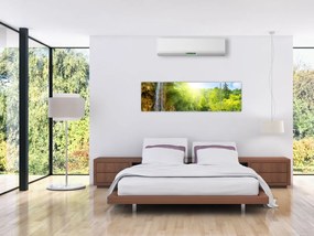 Obraz - wodospady w pralesie (170x50 cm)
