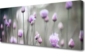 Obraz canvas Sielski Urok Polnych Kwiatów