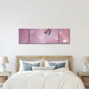 Obraz - Motyl (170x50 cm)