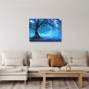 Obraz na szkle - Mistyczny las (70x50 cm)