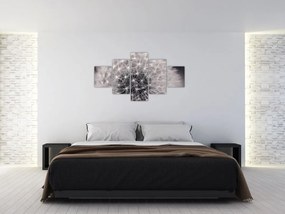 Obraz dmuchawca (125x70 cm)