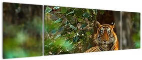 Obraz odpoczywającego tygrysa (170x50 cm)