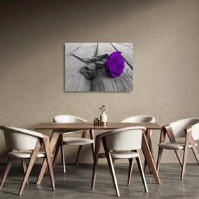 Obraz na szkle - Fioletowa róża z zieloną łodygą (70x50 cm)