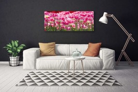 Obraz Canvas Tulipany Kwiaty Natura