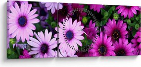 Obraz - Kwiaty (z zegarem) (90x30 cm)