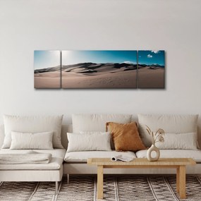 Obraz - Z pustyni (170x50 cm)
