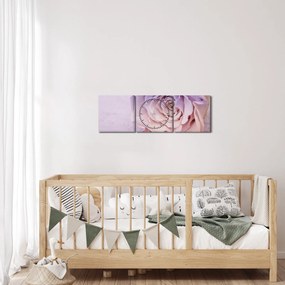 Obraz szczegółu kwiatu róży (z zegarem) (90x30 cm)