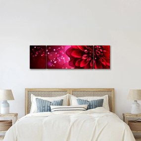 Obraz czerwonego kwiatu (170x50 cm)