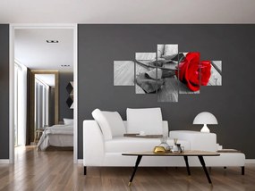 Obraz czerwonej róży (125x70 cm)