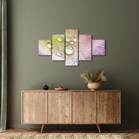 Obraz - Krople rosy (125x70 cm)