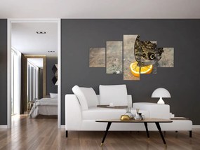 Obraz motyla (125x70 cm)