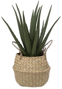 Sztuczna roślina ALOES w koszyku, 37 cm