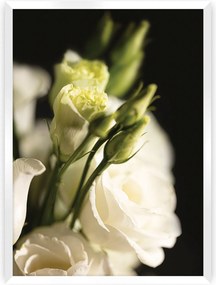 Plakat Dark Flowers I