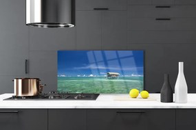 Panel Kuchenny Morski Horyzont O Poranku