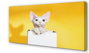 Duży obraz na płótnie Spokojnie Siedzący Kot