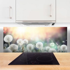 Szkło Dekoracyjne do Kuchni Lekkość Polnych Dmuchawców