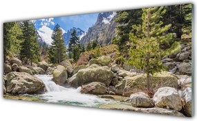 Panel Szklany Dziki Potok w Górskim Lesie