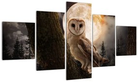 Obraz sowy palonej (125x70 cm)