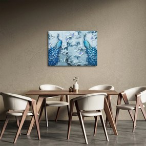 Obraz pawi (70x50 cm)