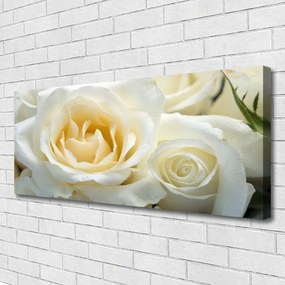 Obraz na płótnie Elegancja Czerwonych Róż