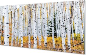 Panel szklany do Kuchni Jesień w Brzozowym Gaju