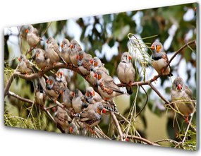 Panel Kuchenny Ptaki W Locie Nad Lasem