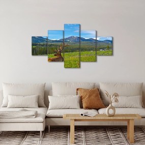 Obraz - Jeleń na łące (125x70 cm)