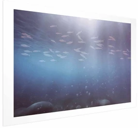 Plakat Rybki w głębinach 60x40 cm bez ramy z marginesem ARTGEIST B
