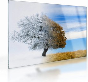 Obraz na szkle - Zmiana pór roku (70x50 cm)