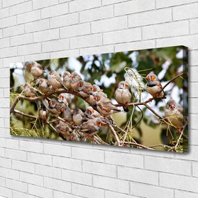 Obraz na płótnie Ptaki w Locie nad Lasem